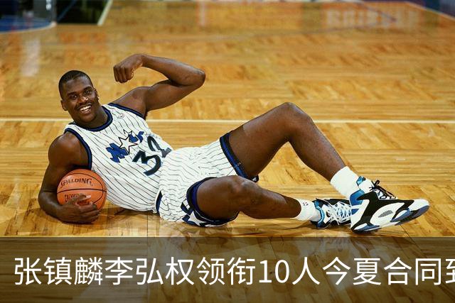 张镇麟李弘权领衔10人今夏合同到期：上海除王哲林两大顶薪花落谁家？