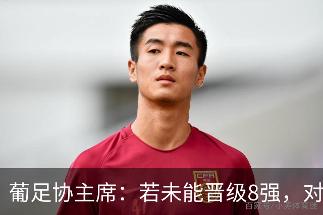 葡足协主席：若未能晋级8强，对葡萄牙来说将是糟糕的世界杯之旅